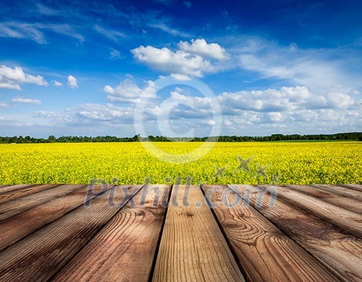 Spring summer background - yellow canola field with blue sky and wooden planks floor in front
