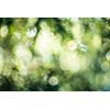 green bokeh abstract light background