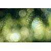 green bokeh abstract light background