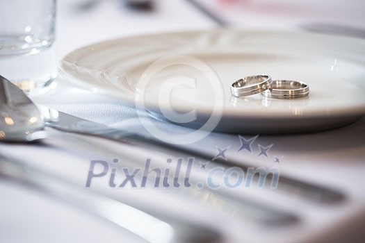 Two splendid wedding rings on a wedding day. Love concept. Two splendid wedding rings on a wedding day. Love concept.