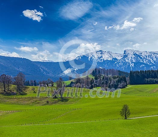 German idyllic pastoral countryside in spring with Alps in background. Bavaria, Germany German idyllic pastoral countryside in spring with Alps in background. Bavaria, Germany