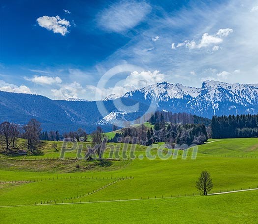 German idyllic pastoral countryside in spring with Alps in background. Bavaria, Germany