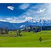 German idyllic pastoral countryside in spring with Alps in background. Bavaria, Germany