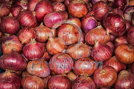 Onions background Onions background