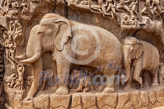 Elephants on descent of the Ganges and Arjuna's Penance ancient stone sculpture - monument at Mahabalipuram, Tamil Nadu, India