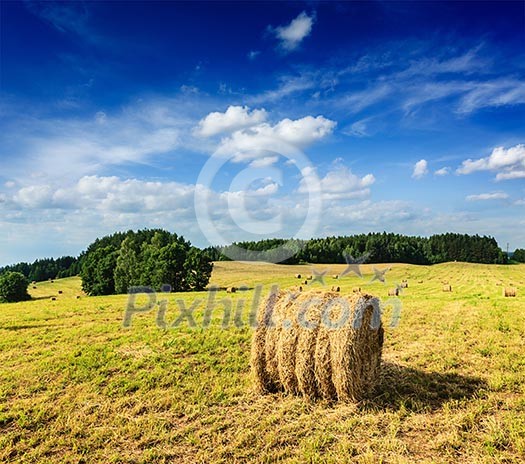 Agriculture background - Hay bales on field in summer