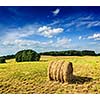 Agriculture background - Hay bales on field in summer