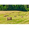 Agriculture background - Hay bales on field in summer