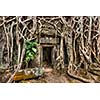 Travel Cambodia concept background - ancient stone door and tree roots, Ta Prohm temple ruins, Angkor, Cambodia