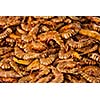Shrimps close up in market in Asia. Shallow depth of fiels, selective focus