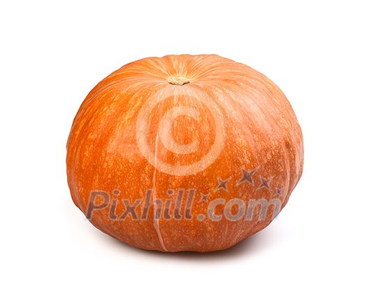 Pumpkin isolated on white background Pumpkin isolated on white background
