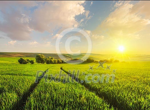 Beuatiful sunset in fields of Moravia, Czech Republic