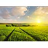 Beuatiful sunset in fields of Moravia, Czech Republic