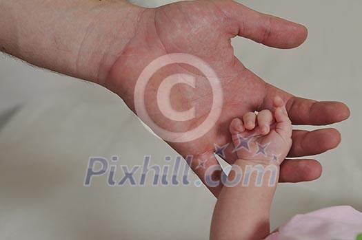 big man hand holding small baby hand big man hand holding small baby hand