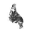 double exposure of woman in fashion dress with nature tree branches background