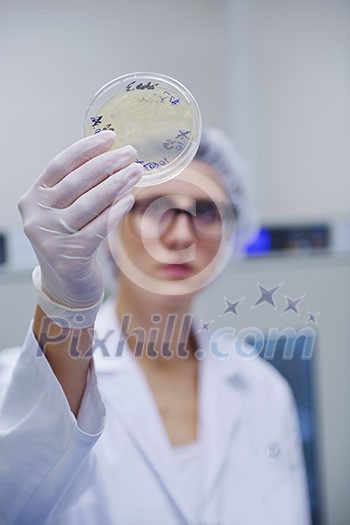 group of scientists working at the laboratory group of scientists working at the laboratory