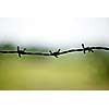 Steel barbed wire on blurred background
