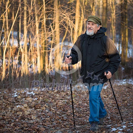 Senior man nordic walking, enjoying the outdoors, the fresh air, getting the necessary exercise Senior man nordic walking, enjoying the outdoors, the fresh air, getting the necessary exercise