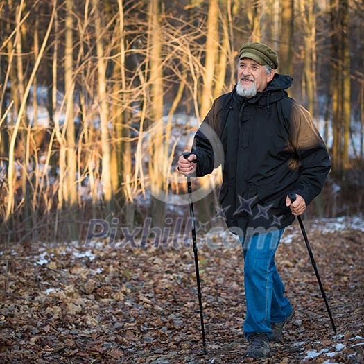 Senior man nordic walking, enjoying the outdoors, the fresh air, getting the necessary exercise