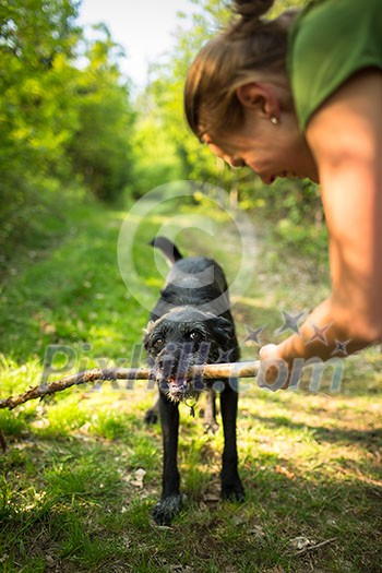 Walking the dog - throwing the stick to fetch to this eager companion Walking the dog - throwing the stick to fetch to this eager companion