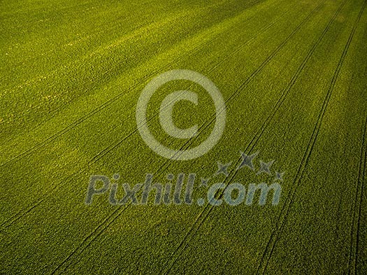 Farmland from above - aerial image of a lush green filed Farmland from above - aerial image of a lush green filed