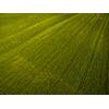 Farmland from above - aerial image of a lush green filed