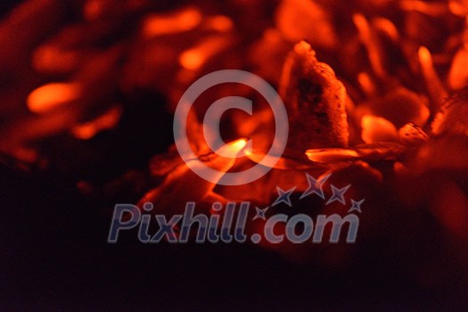 Fire flames  design isoleted on black background