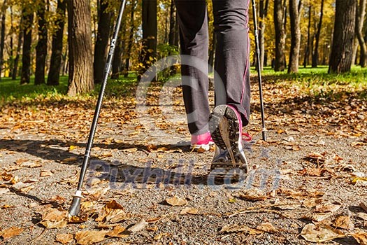 Nordic walking adventure and exercising concept - woman hiking, legs and nordic walking poles in autumn nature Nordic walking adventure and exercising concept - woman hiking, legs and nordic walking poles in autumn nature