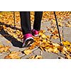 Nordic walking adventure and exercising concept - woman hiking, legs and nordic walking poles in autumn nature