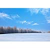 Winter landscape - forest and field covered with snow