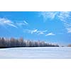 Winter landscape - forest and field covered with snow