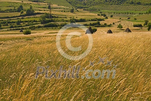 summer landscape (NIKON D80; 23.6.2007; 1/100 at f/6.3; ISO 100; white balance: Auto; focal length: 50 mm) summer landscape (NIKON D80; 23.6.2007; 1/100 at f/6.3; ISO 100; white balance: Auto; focal length: 50 mm)