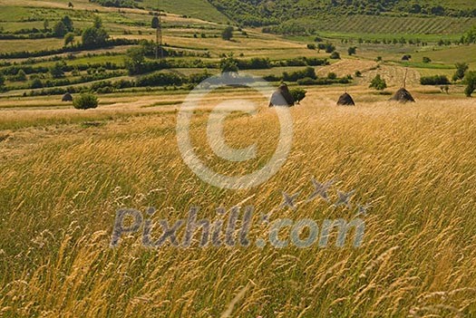 summer landscape   (NIKON D80; 23.6.2007; 1/100 at f/6.3; ISO 100; white balance: Auto; focal length: 50 mm)