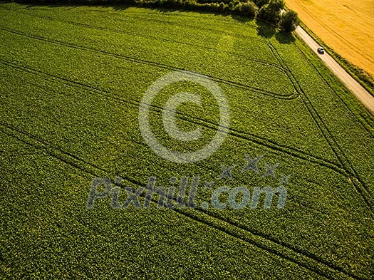 Farmland from above - aerial image of a lush green filed and a small country road with a car