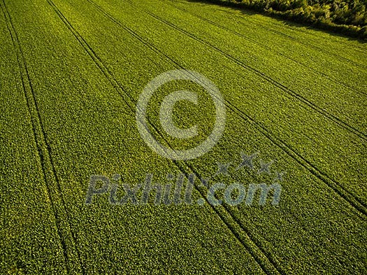 Farmland from above - aerial image of a lush green filed