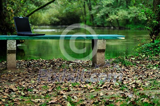 park outdoor nature landscape background park outdoor nature landscape background