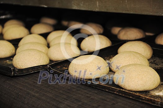 bread bakery food factory production with fresh products bread bakery food factory production with fresh products