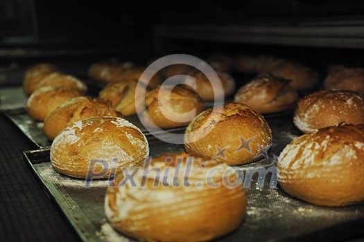 bread bakery food factory production with fresh products bread bakery food factory production with fresh products