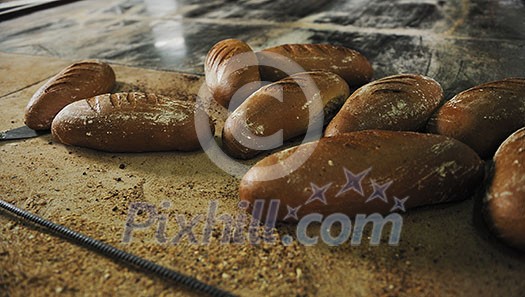 bread bakery food factory production with fresh products bread bakery food factory production with fresh products