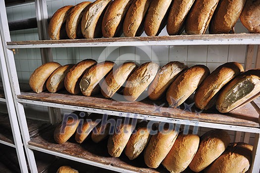 bread bakery food factory production with fresh products bread bakery food factory production with fresh products
