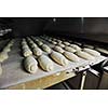 bread bakery food factory production with fresh products