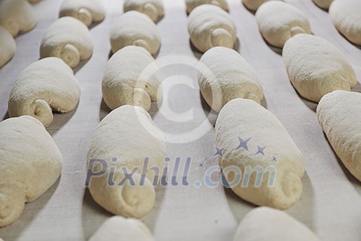bread bakery food factory production with fresh products bread bakery food factory production with fresh products