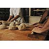 bread bakery food factory production with fresh products