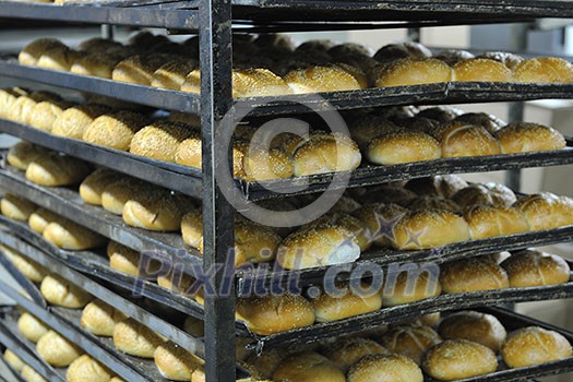 bread bakery food factory production with fresh products bread bakery food factory production with fresh products