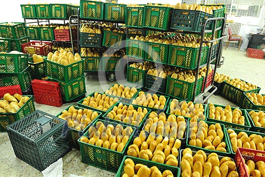 bread bakery food factory production with fresh products bread bakery food factory production with fresh products