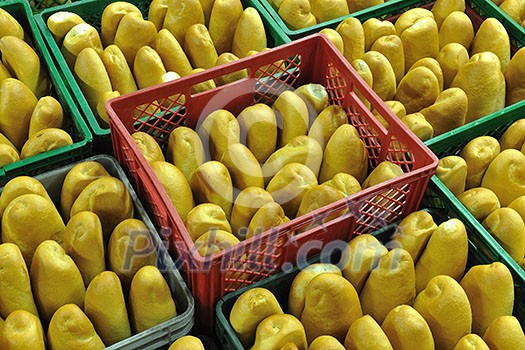 bread bakery food factory production with fresh products bread bakery food factory production with fresh products