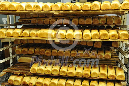 bread bakery food factory production with fresh products bread bakery food factory production with fresh products
