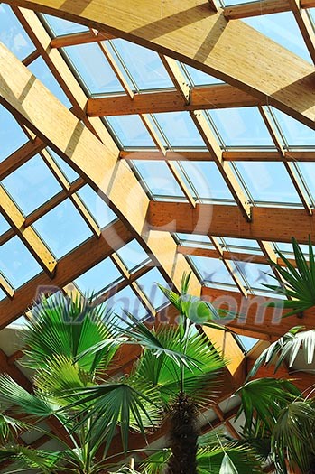 modern home roof wood roof construction with many windows blue sky and green palm leafs