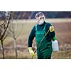 Using chemicals in the garden/orchard: gardener applying an insecticide/a fertilizer to his fruit shrubs, using a sprayer