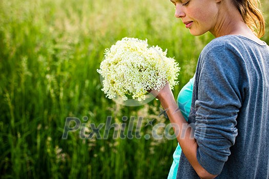 Young woman picking elderflower to make an infusion at home Young woman picking elderflower to make an infusion at home